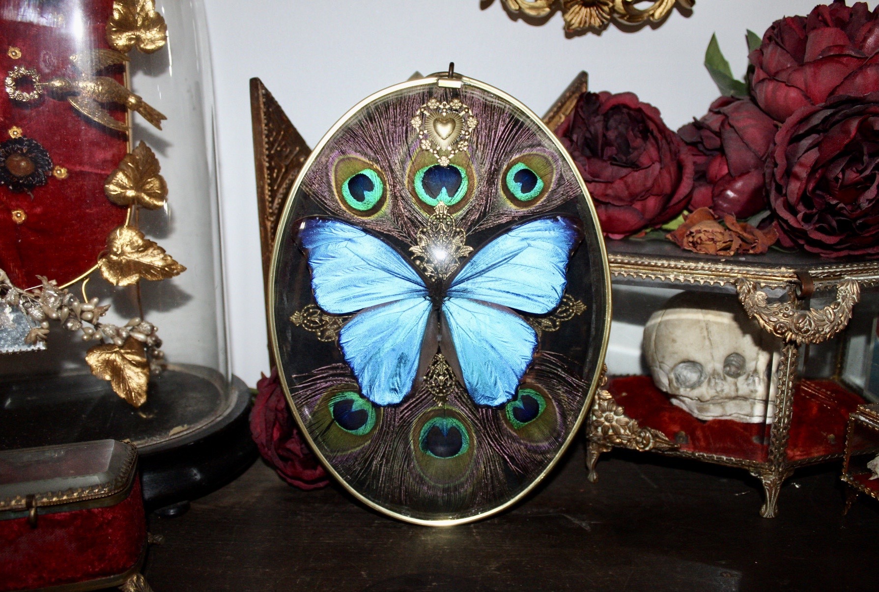speaker-photo